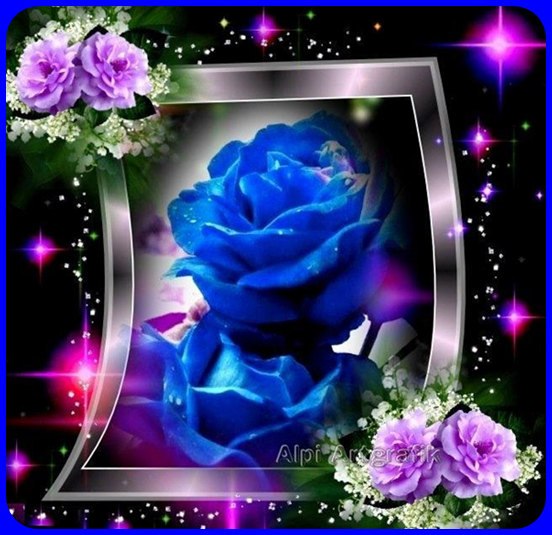 blue-rose.png