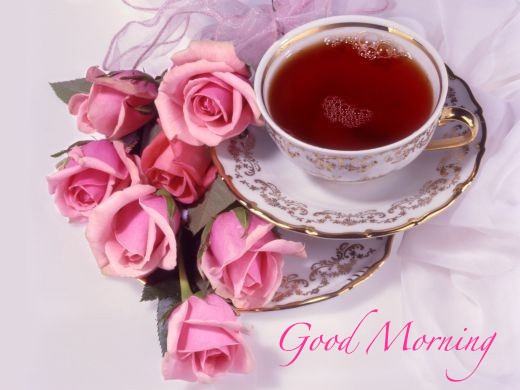 Good-Morning-Love-flowers-Good-Morning-amicizia-GoodMorningGoodNight-greetings-Tageszeiten-MORNINGS-b_large.jpg